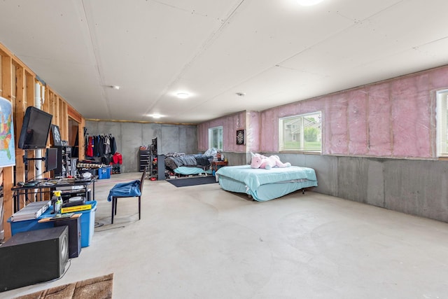 17051 Lupine Ln, Big Lake, MN 55309 - view of basement
