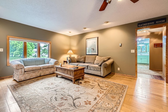 5959 373rd St, North Branch, MN 55056 - living area with ceiling fan, light wood finished floors, and a textured ceiling