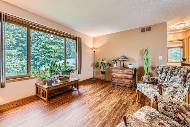 5959 373rd St, North Branch, MN 55056 - living area with wood finished floors, healthy amount of natural light, and a textured ceiling
