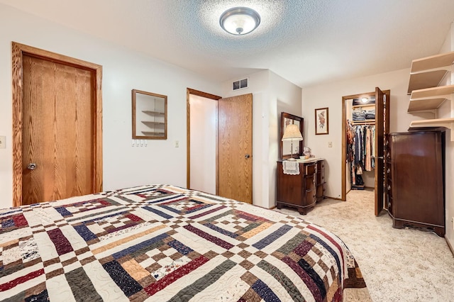 5959 373rd St, North Branch, MN 55056 - bedroom with a textured ceiling, a closet, and a walk in closet