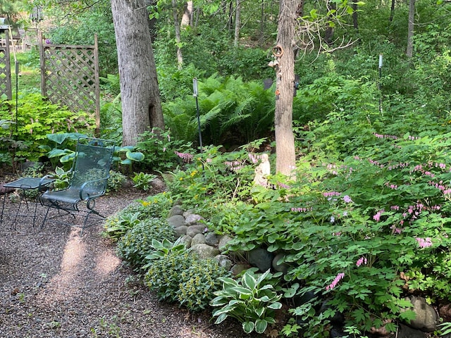 1110 Partridge Ln, North Hudson, WI 54016 - view of local wilderness