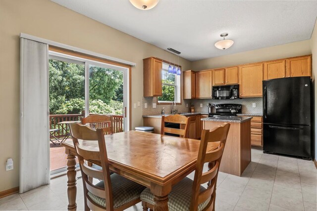 14004 52nd Ave N, Plymouth, MN 55446 - photo 19