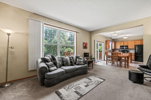 14004 52nd Ave N, Plymouth, MN 55446 - photo 21