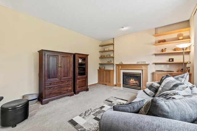 14004 52nd Ave N, Plymouth, MN 55446 - photo 24