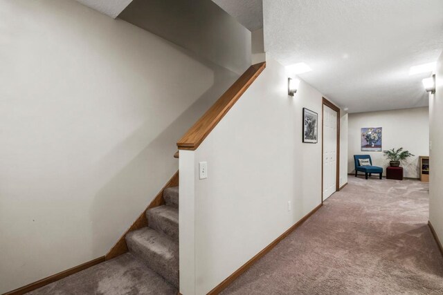 14004 52nd Ave N, Plymouth, MN 55446 - photo 26