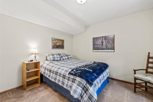 14004 52nd Ave N, Plymouth, MN 55446 - photo 33