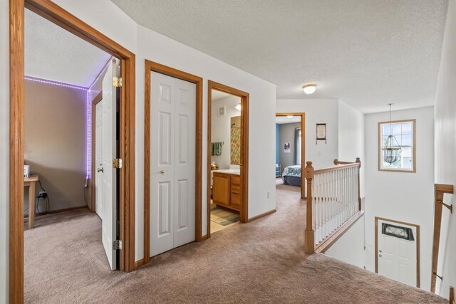 14004 52nd Ave N, Plymouth, MN 55446 - photo 46