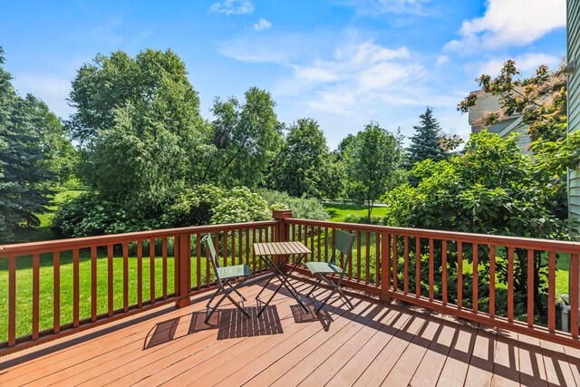 14004 52nd Ave N, Plymouth, MN 55446 - photo 55