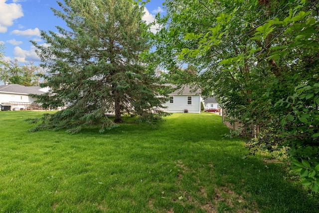 1306 6th Ave NW, Austin, MN 55912 - view of green lawn