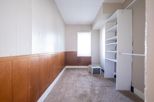 8247 Wentworth Ave S, Bloomington, MN 55420 - walk in closet with carpet floors