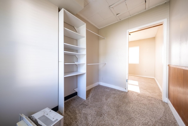 8247 Wentworth Ave S, Bloomington, MN 55420 - view of closet