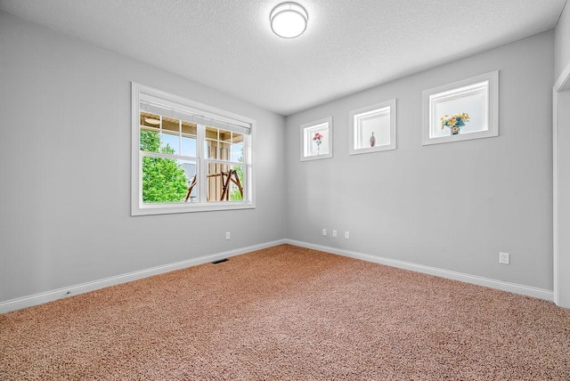 10388 188th St W, Lakeville, MN 55044 - unfurnished room with carpet, healthy amount of natural light, a textured ceiling, and baseboards