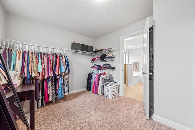 10388 188th St W, Lakeville, MN 55044 - spacious closet featuring carpet flooring