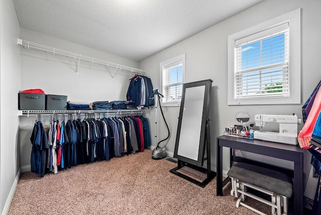 10388 188th St W, Lakeville, MN 55044 - walk in closet with carpet floors