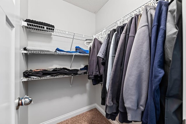 10388 188th St W, Lakeville, MN 55044 - walk in closet featuring carpet floors