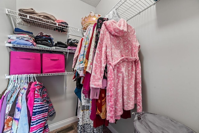 10388 188th St W, Lakeville, MN 55044 - view of walk in closet