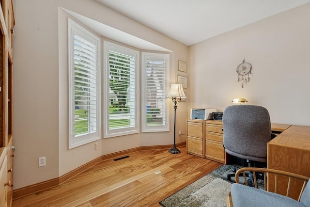 3114 Canyon Cir, Chaska, MN 55318 - office space with light wood-style flooring and baseboards