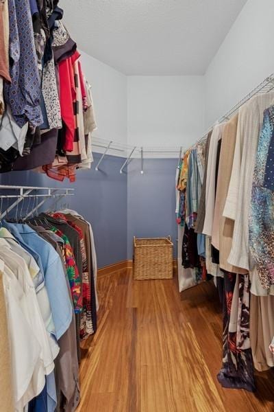 3114 Canyon Cir, Chaska, MN 55318 - walk in closet with wood finished floors