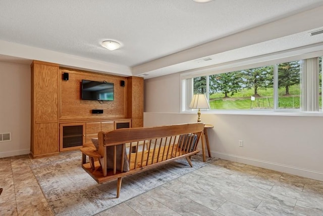 3114 Canyon Cir, Chaska, MN 55318 - bedroom featuring baseboards and a textured ceiling