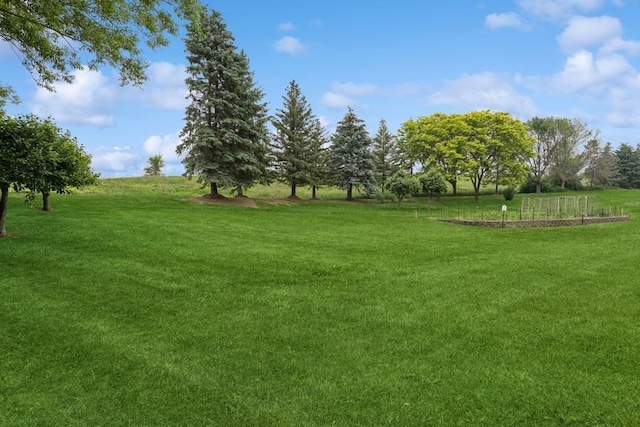 3114 Canyon Cir, Chaska, MN 55318 - view of green lawn with a rural view