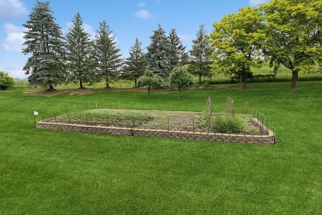 3114 Canyon Cir, Chaska, MN 55318 - view of green lawn with a garden