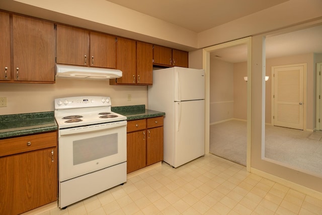 2051 Carriage Dr SW Unit 2051E, Rochester, MN 55902 - kitchen with white appliances, under cabinet range hood, dark countertops, and brown cabinetry