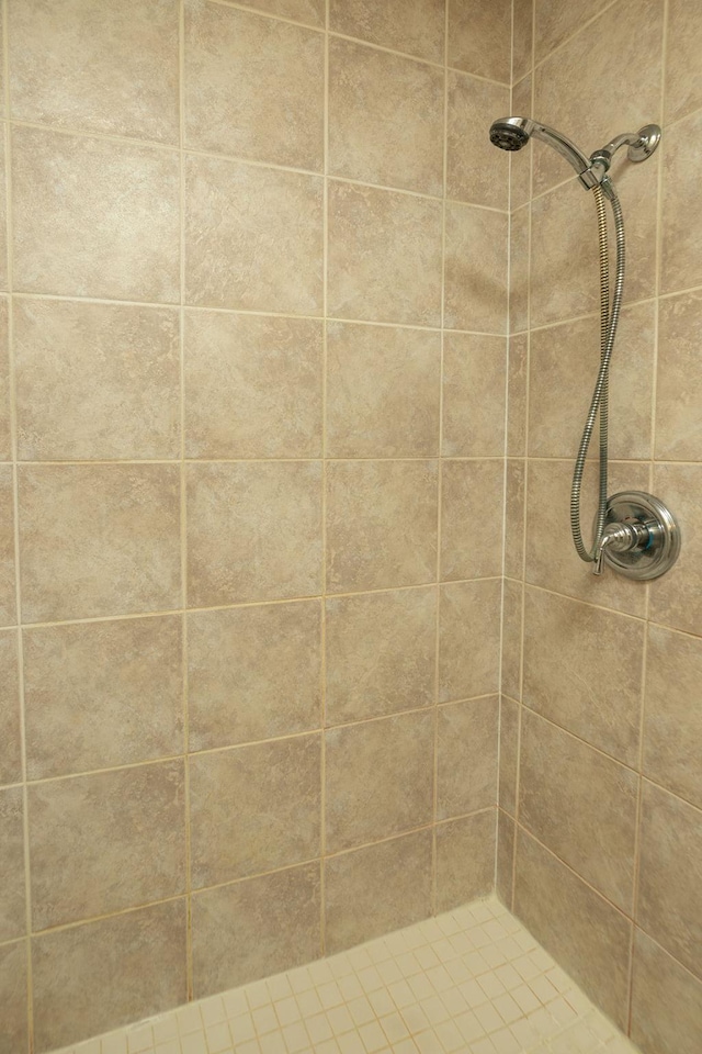 2051 Carriage Dr SW Unit 2051E, Rochester, MN 55902 - bathroom featuring a tile shower