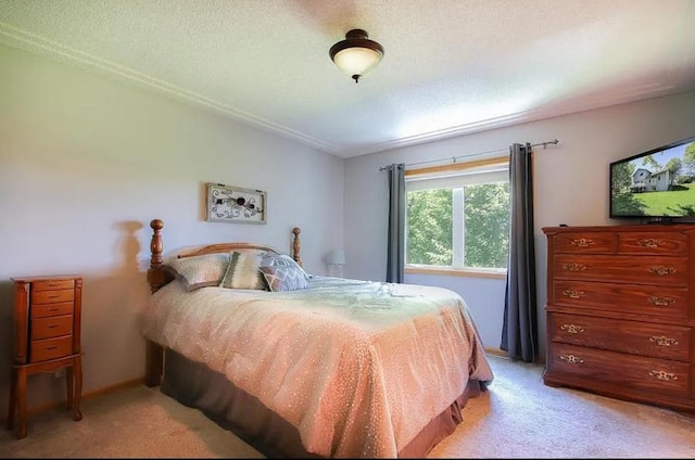 23501 Birch Cir, Rogers, MN 55374 - bedroom with light carpet and vaulted ceiling