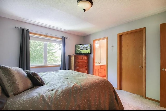 23501 Birch Cir, Rogers, MN 55374 - bedroom featuring carpet and ensuite bathroom