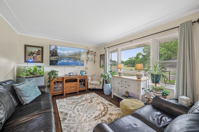 179 County Road F W, Shoreview, MN 55126 - living room with wood finished floors and ornamental molding