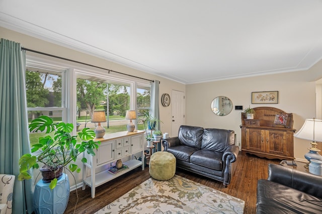 179 County Road F W, Shoreview, MN 55126 - living area featuring healthy amount of natural light, wood finished floors, and crown molding