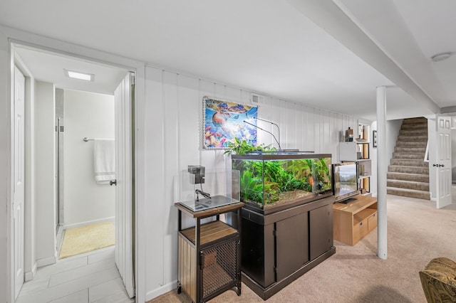 179 County Road F W, Shoreview, MN 55126 - hall featuring light carpet and stairway