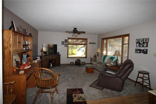 115 Nelson St S, Evansville, MN 56326 - photo 21