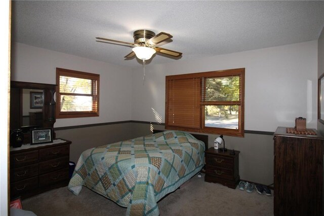 115 Nelson St S, Evansville, MN 56326 - photo 25