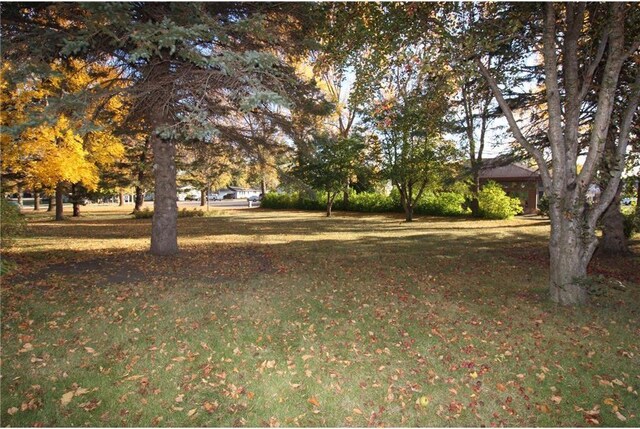 115 Nelson St S, Evansville, MN 56326 - photo 35