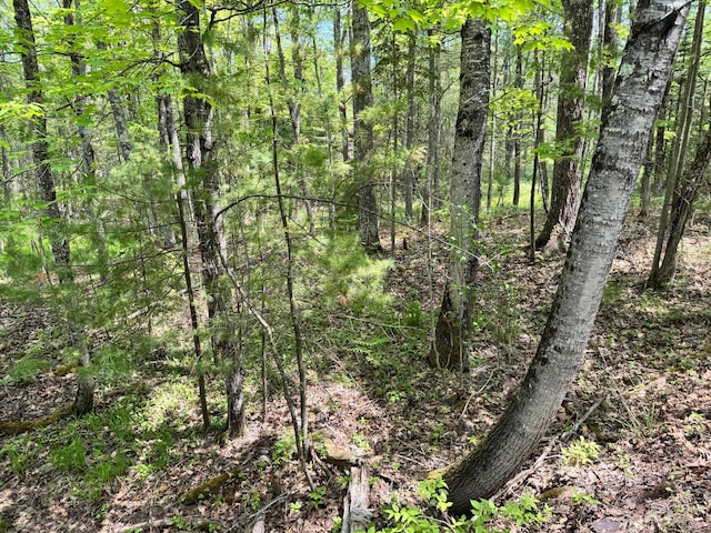 434 Minnewawa Dr, Lapointe, WI 54850
