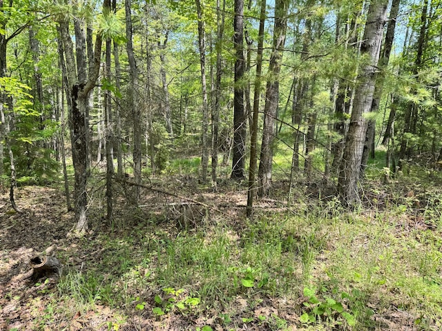 434 Minnewawa Dr, Lapointe, WI 54850