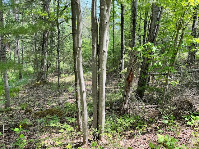 434 Minnewawa Dr, Lapointe, WI 54850
