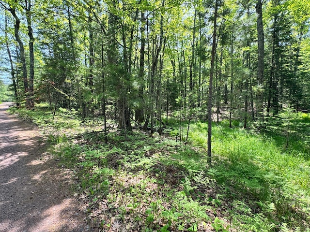 434 Minnewawa Dr, Lapointe, WI 54850