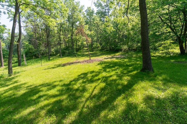 278 Vanity Dr, Shelby Twp, WI 54658 - view of green lawn