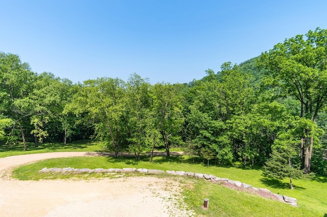278 Vanity Dr, Shelby Twp, WI 54658 - view of grassy yard featuring a forest view