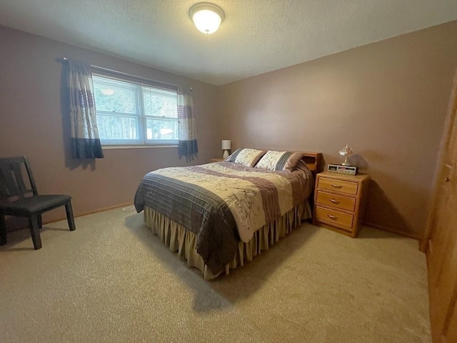16173 Discovery Cir, Park Rapids, MN 56470 - bedroom featuring light carpet, a textured ceiling, and baseboards