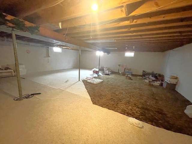 16173 Discovery Cir, Park Rapids, MN 56470 - view of below grade area