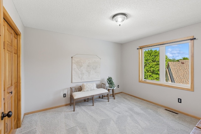 14057 Flintwood Ct, Apple Valley, MN 55124 - living area with a textured ceiling and light carpet