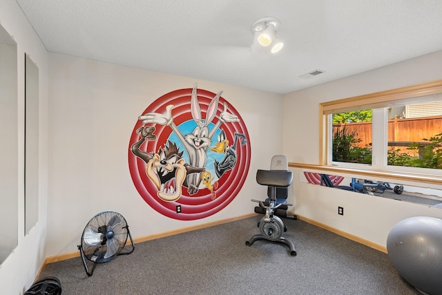 14057 Flintwood Ct, Apple Valley, MN 55124 - exercise room with carpet and baseboards