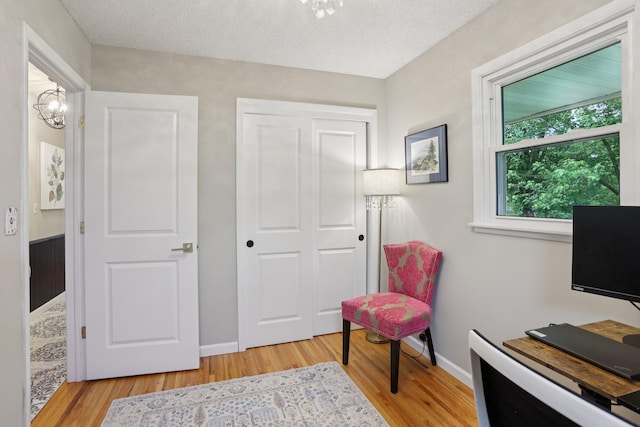 9320 Revere Ln N, Maple Grove, MN 55369 - sitting room featuring light wood-type flooring, baseboards, and a textured ceiling