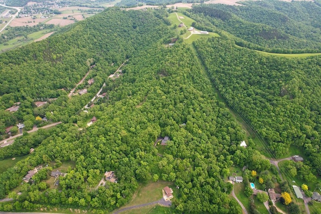 TBD Vanity Dr, Shelby Twp, WI 54658