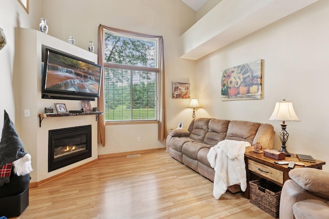 9026 Merrimac Ln N, Maple Grove, MN 55311 - living room with a glass covered fireplace, wood finished floors, and baseboards