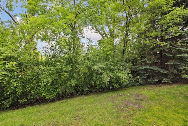 9026 Merrimac Ln N, Maple Grove, MN 55311 - view of grassy yard