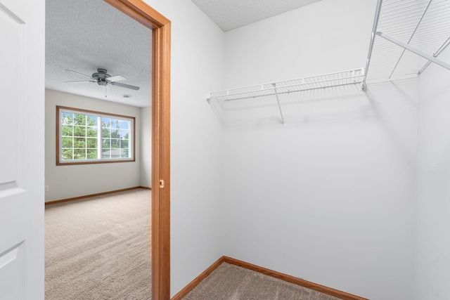5423 Elm Grove Ave, New Hope, MN 55428 - spacious closet with carpet floors and ceiling fan
